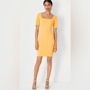 Ann Taylor Square Neck Short Sleeve Sheath Dress in Citrus Sun, OP